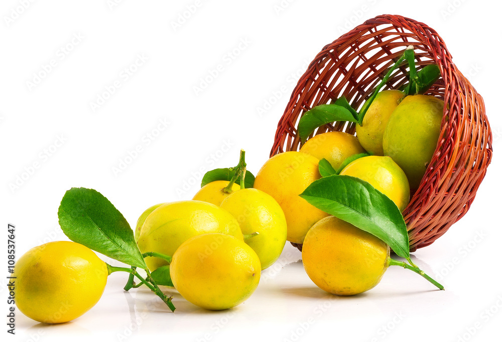 Lemons in basket isolated on white
