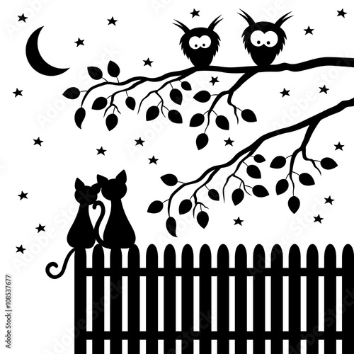 Two cats sitting on the fence.
