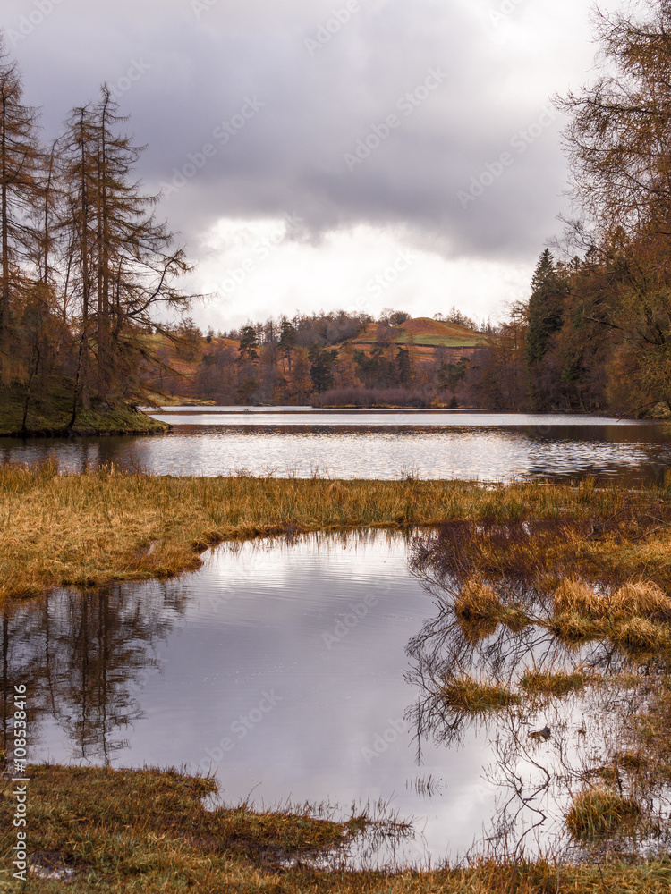 Early springtime at Tarn Hows, Coniston, Cumbria, UK