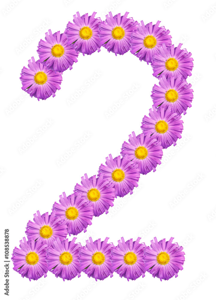number 2 composed of colors purple asters. Isolated on white bac number 2 composed of colors purple asters. Isolated on white bac