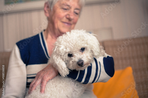 Senior woman holding a cute white maltese dog, smiling, feeling happy and not alone