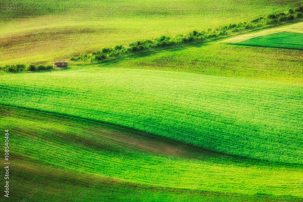 Rolling landscape of  South Moravia