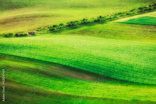 Rolling landscape of South Moravia