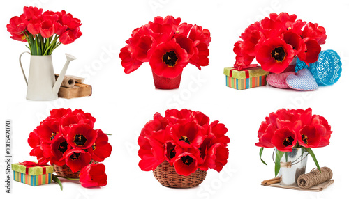 Fototapeta Naklejka Na Ścianę i Meble -  Set tulips isolated