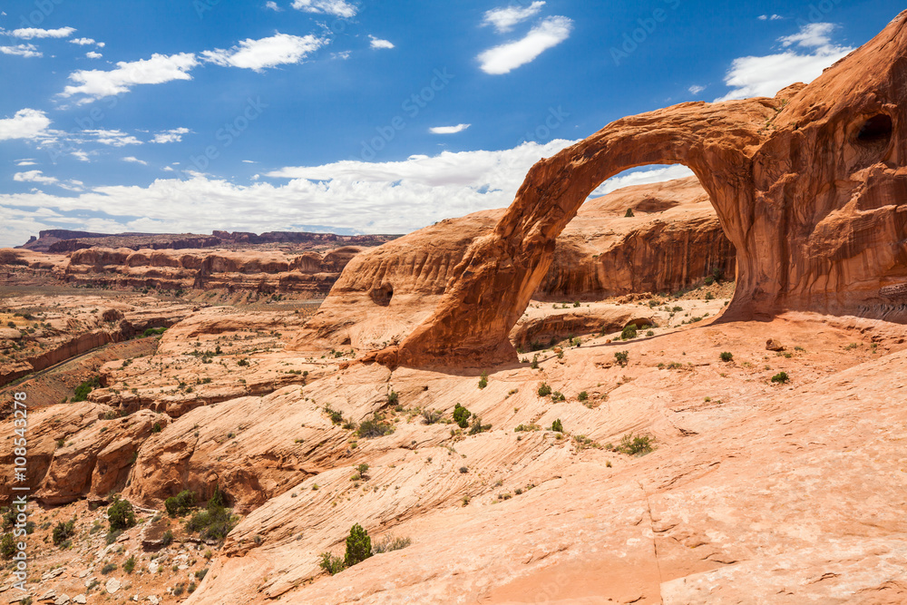Canyonlands National Park, Utah, USA Canyonlands National Park, Utah, USA