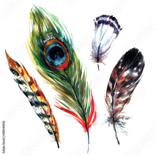 Watercolor Feathers Set