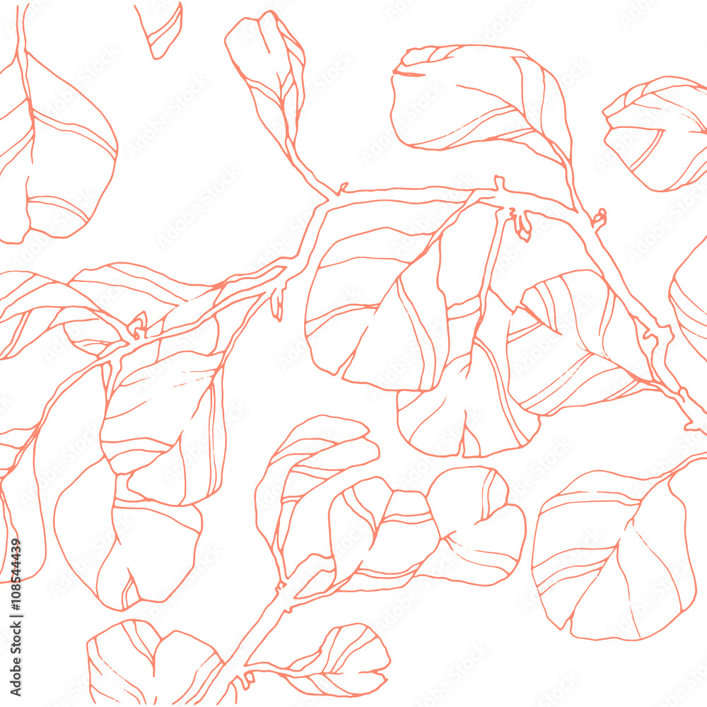 Vector floral ornament and illustration