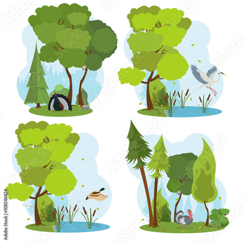 wildlife scenes. isolated scene with wild birds.