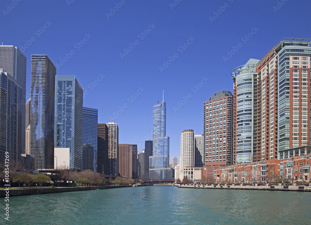 Fototapeta premium River view of Chicago