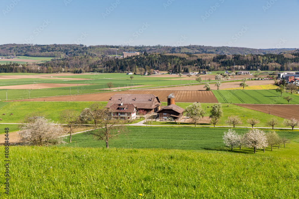 Fototapeta premium Fields near Fislisbach, Switzerland