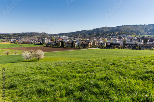 Fields near Fislisbach, Switzerland photo