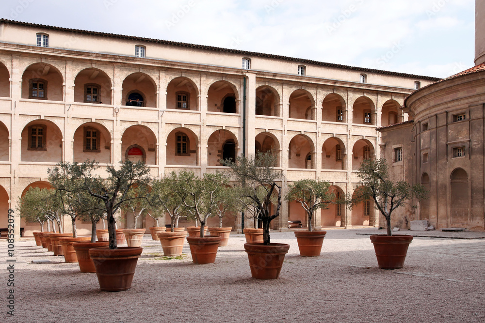 Fototapeta premium olive trees in the inner courtyard of the vieille charité marseille