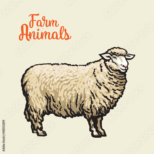 White sheep isolated, vector sketch drawn by hand on a light background sheep, farm animals, cloven-hoofed livestock, sheep, sheep icon with thick fur