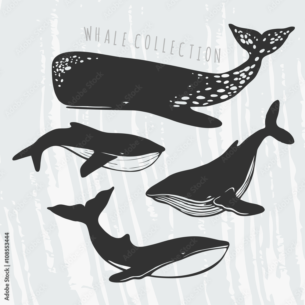 Naklejka premium whales' silhouettes set