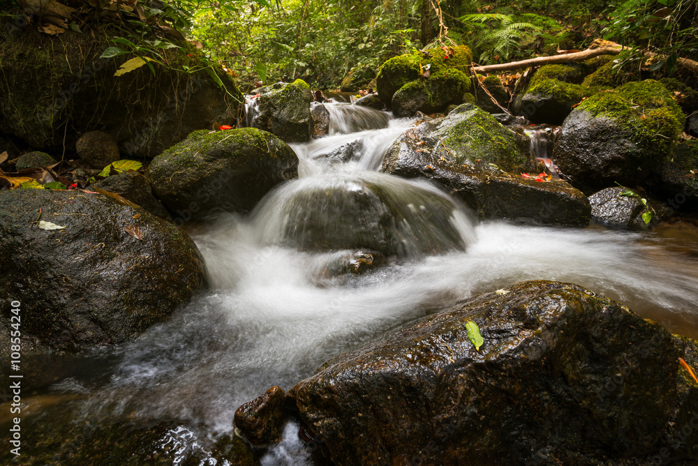 Fototapeta premium water flowing over rocks at a little falls