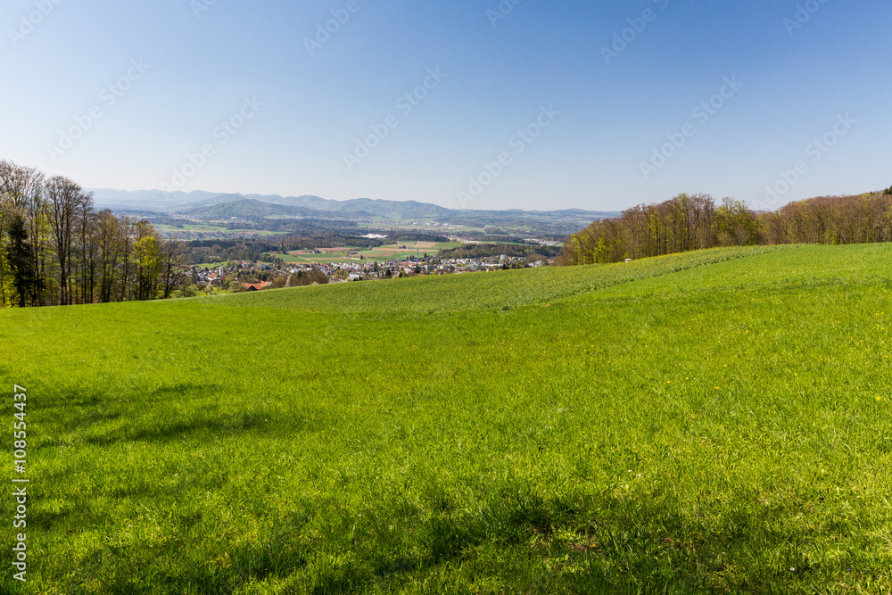 Meadow on Mountain Heitersberg with view to Jura Chain, near Zur