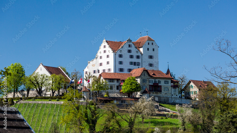 Castle Wildegg in the canton of Aargau