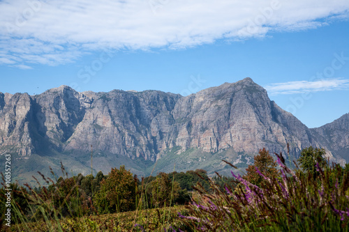 Cape Wine Lands