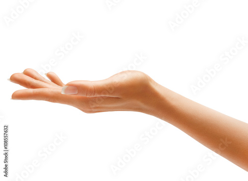 Woman's hand sign isolated on white background. Palm up, close up. High resolution product.