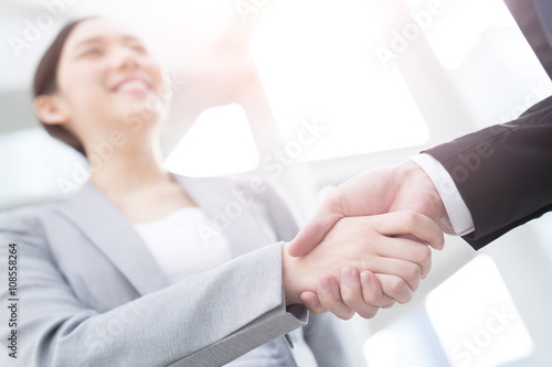 Canvas Print success business people shake hands