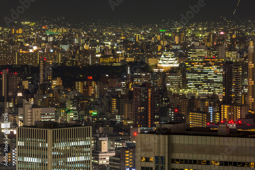 Osaka castle night © vichie81