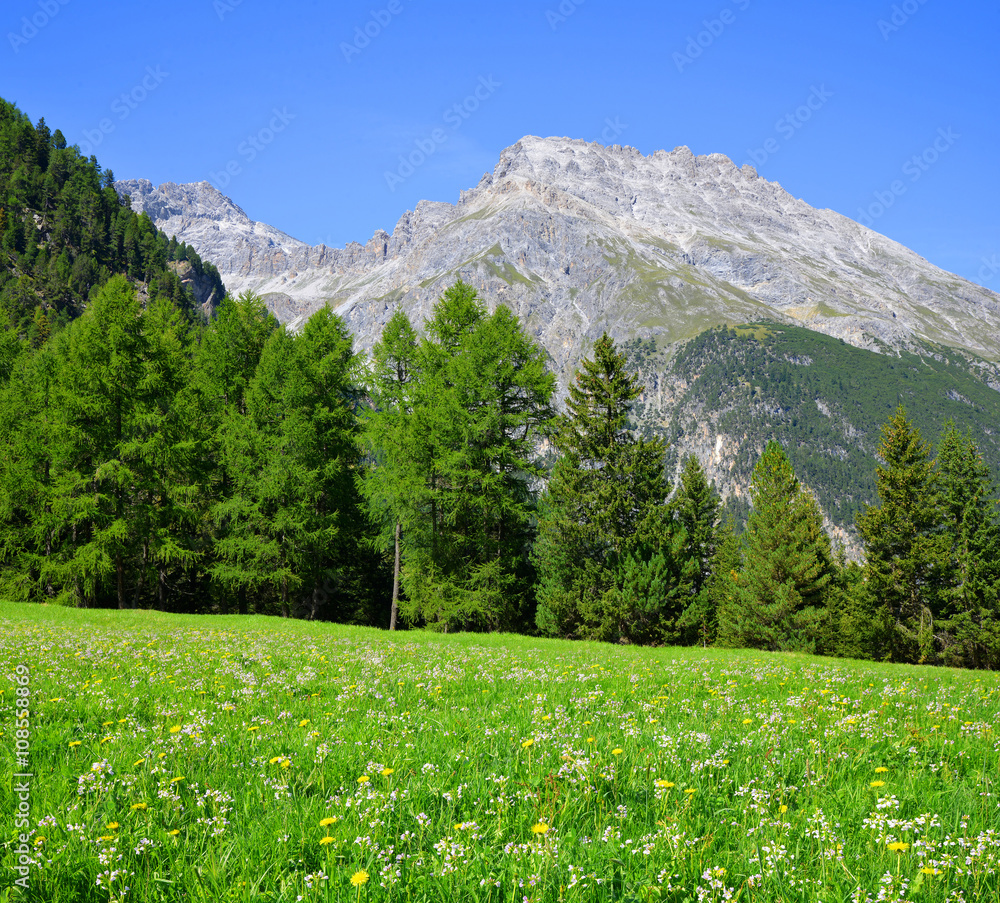 Mountain landscape. Piz Ela in Switzerland Alps - Canton Graubunden.