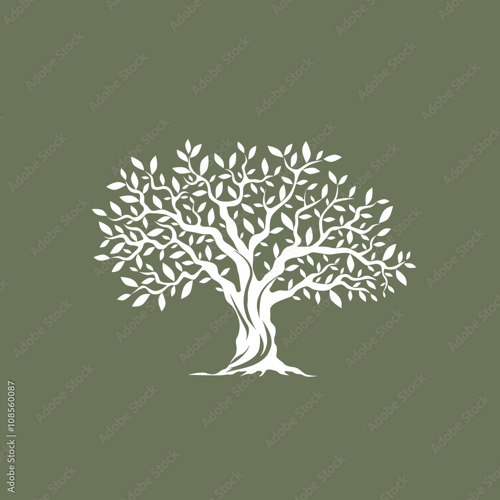 Naklejka premium Piękna wspaniała drzewo oliwne sylwetka na szarym tle. Plansza nowoczesny wektor znak. Koncepcja projektowania logo wysokiej jakości ilustracji.