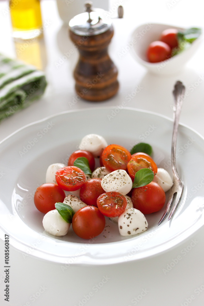 Mozzarella with tomatoes, italian herbs and salad leaves on a white plate on a table, closeup, selective focus. Mozzarella with tomatoes, italian herbs and salad leaves on a white plate on a table, closeup, selective focus.