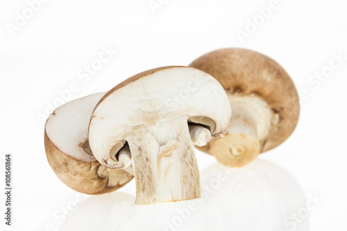 Bunch of button mushrooms, on white background.