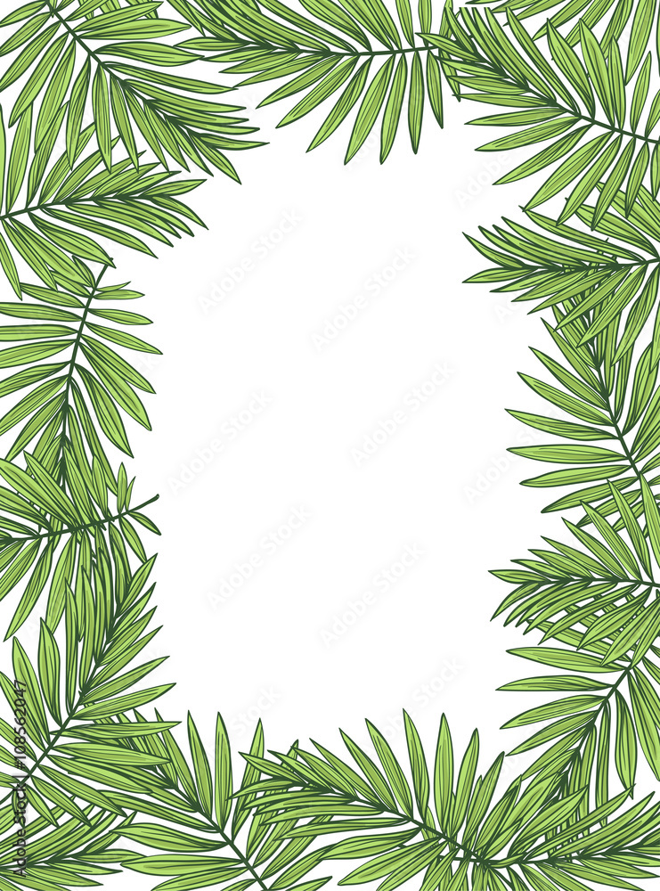 Aloha Hawaii illustration, palm leaves on the white background