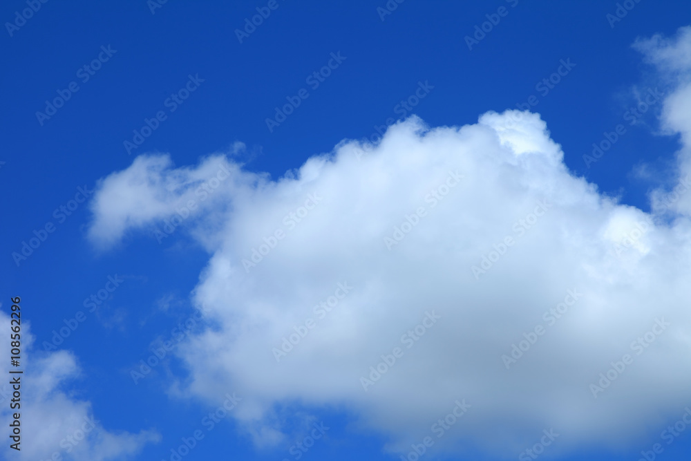 Fototapeta premium blue sky with cloud closeup