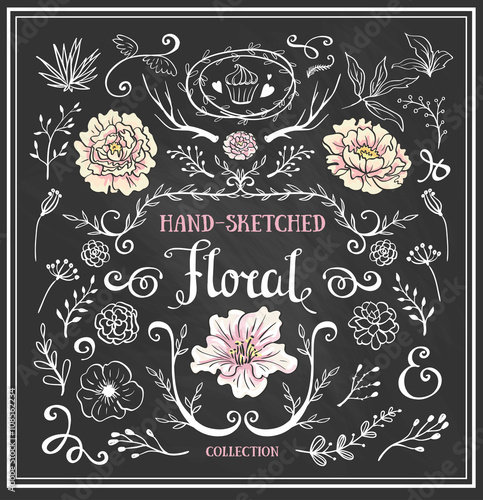 Hand Drawn vintage floral elements. Set of flowers and decorative elements on the chalkboard.