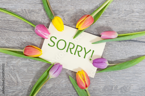 Fototapeta Naklejka Na Ścianę i Meble -  Sorry!