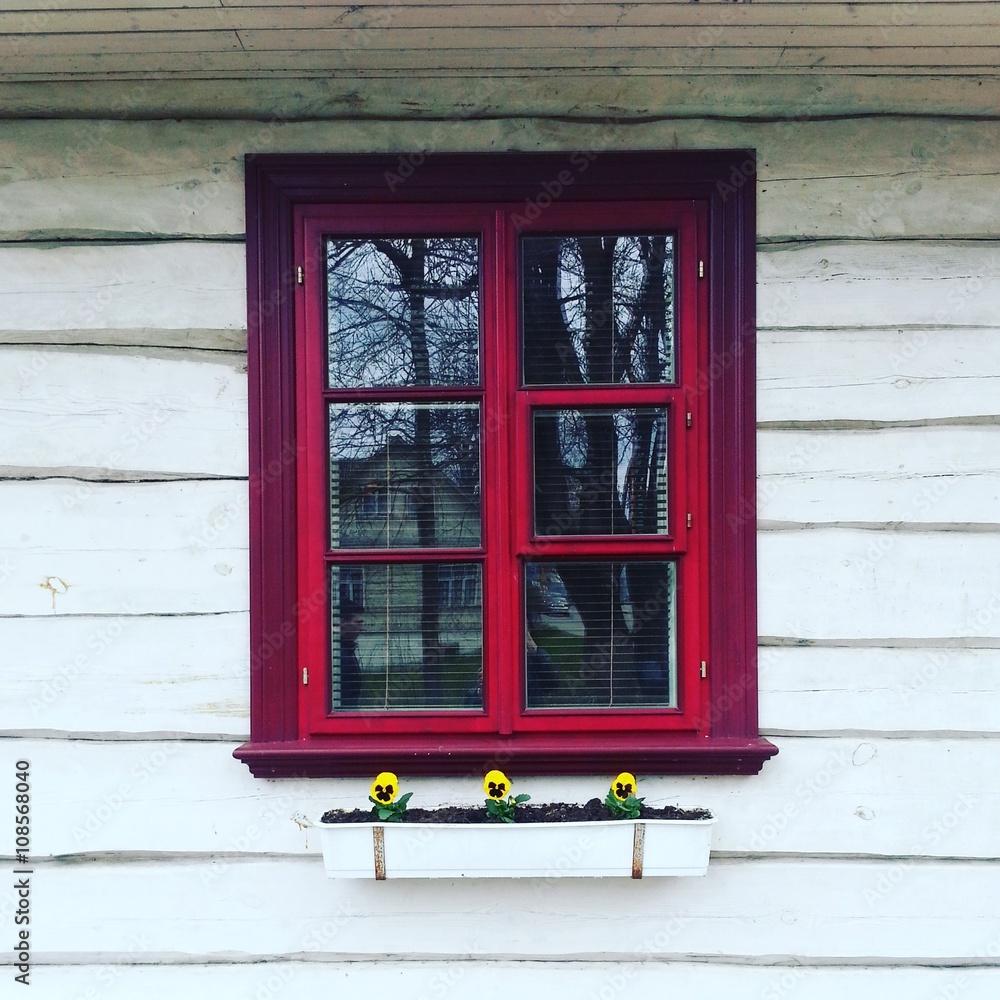 Obraz premium Yellow viole flower under red window