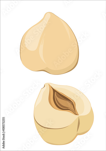whole hazelnut and its half