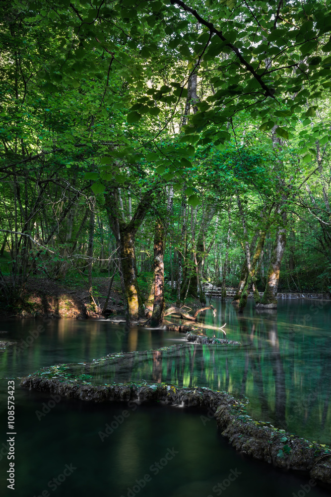 Fototapeta premium Wasserkaskaden im Jura