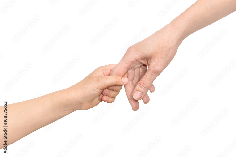 The child holds his mother's hand. Isolated on white.
