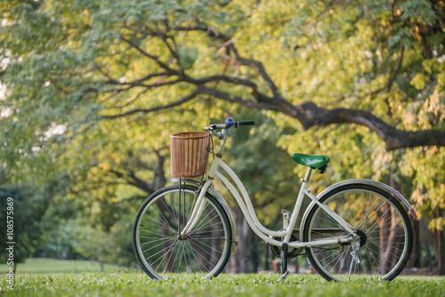 white bicycle in green park © kwanchaift