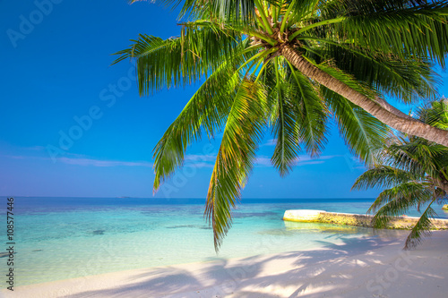 Fototapeta Naklejka Na Ścianę i Meble -  Tropical island sandy beach, palm trees and overwater bungalow on Maldives