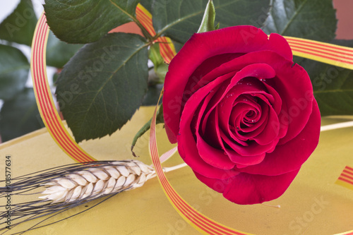 Rosa roja con espiga y bandera de Catalunya en la festividad de Sant Jordi