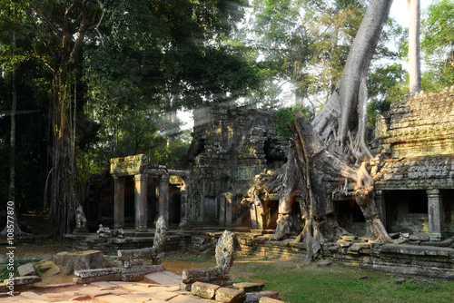 Tableau sur toile old banyan tree growing in the ancient ruin of Ta Phrom temple, Angkor Wat, Camb