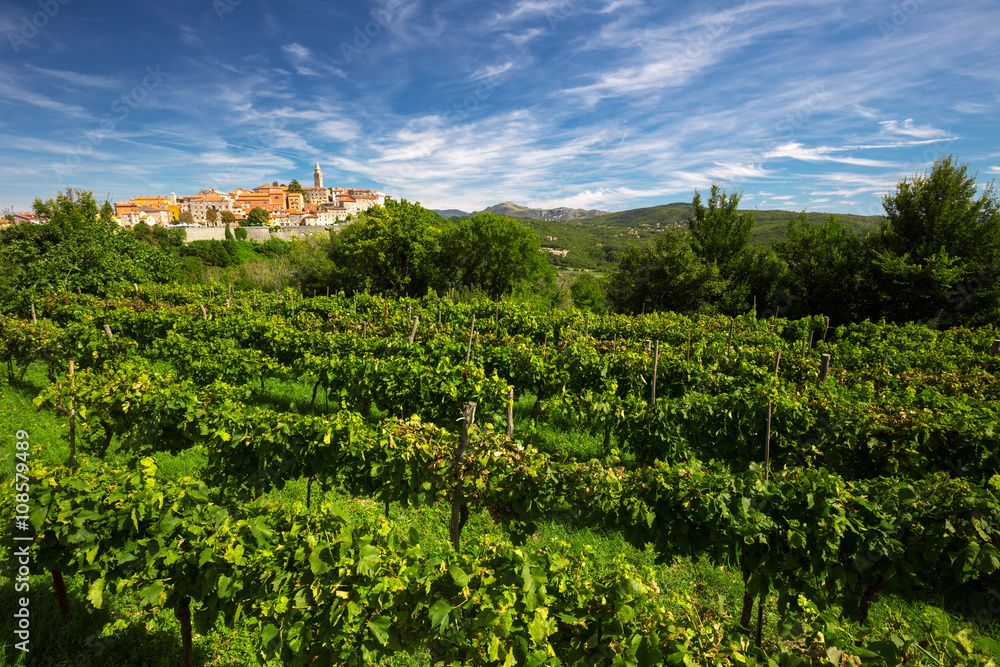 Old village with vineyard, blue sky and mountains in Labin, Istria, Croatia