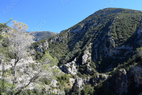 Les Gorges de la Siagne, près de l'entrée de la Grotte de Mons photo