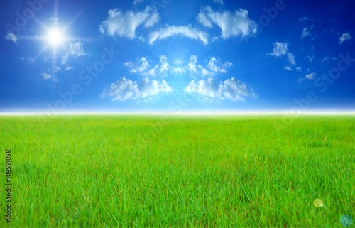 Wide image of green grass field and bright blue sky