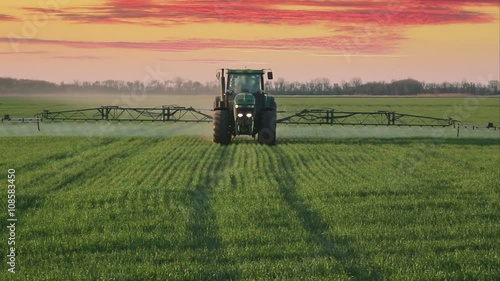 Green tractor spraying the wheat field with chemicals in sunny spring day