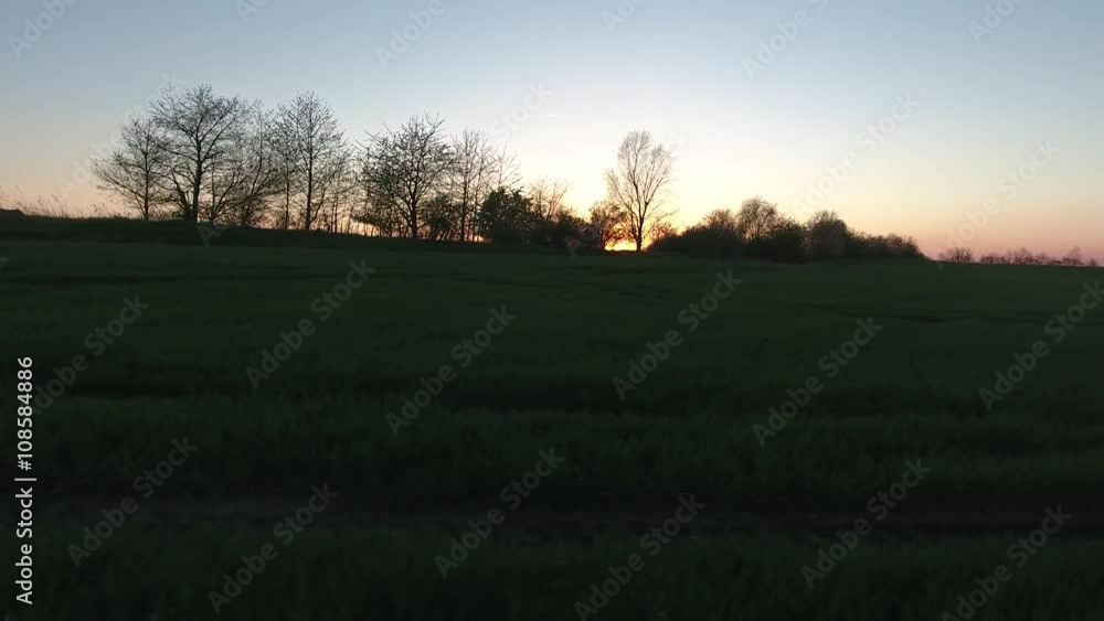 sunset field grass video meadow landscape evening sunset field grass video meadow landscape evening