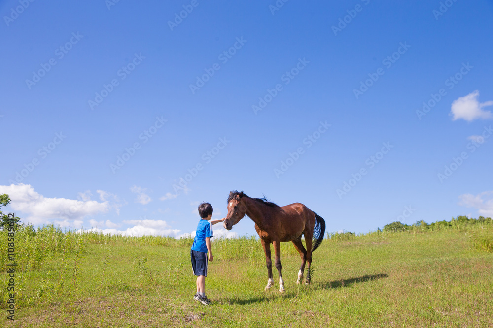 馬と子供 - obrazy, fototapety, plakaty 