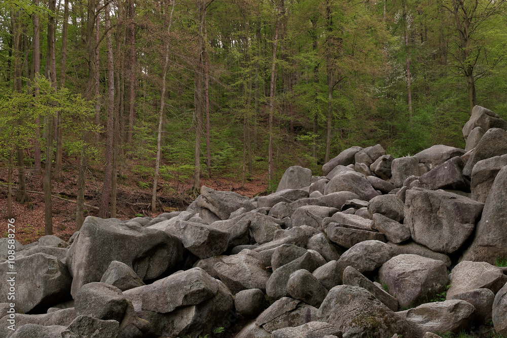Rocks at the Felsenmeer in Germany. Rocks at the Felsenmeer in Germany.