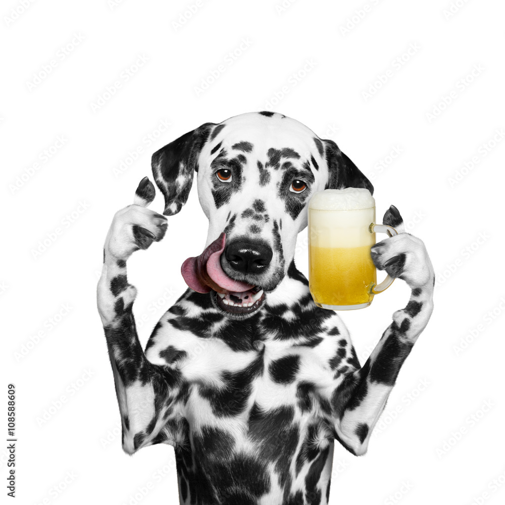 dog drinks beer and greeting somebody