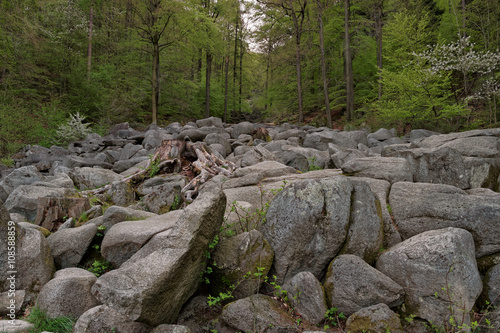 Rocks at the Felsenmeer in Germany.